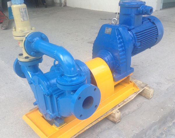 旋轉(zhuǎn)凸輪泵維護(hù)，提高其性能與效率