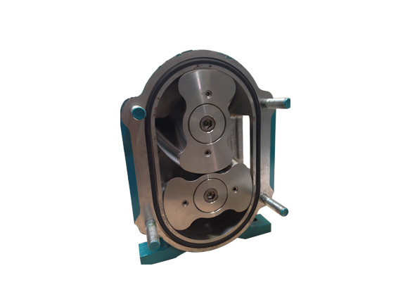 不銹鋼轉(zhuǎn)子泵是為了適應特殊需要而生