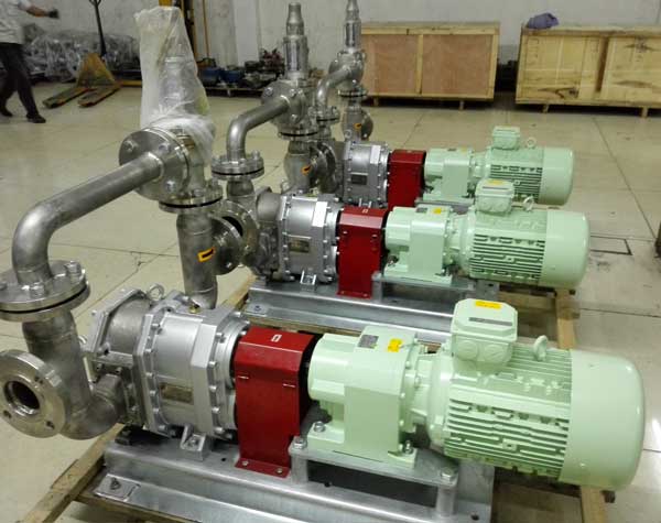 不銹鋼轉(zhuǎn)子泵生產(chǎn)廠家 不銹鋼轉(zhuǎn)子泵生產(chǎn)廠家