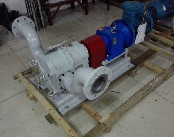 不銹鋼轉(zhuǎn)子泵生產(chǎn)廠家如何選擇?這個泵使用如何